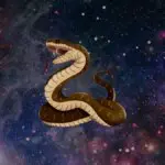 Sonhar com cobra significados, perguntas e o que fazer