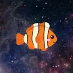 Sonhar com peixe significados, perguntas e o que fazer