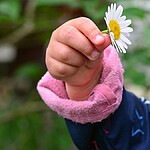 5 sonhos com filhos ou crianças que não podemos ignorar