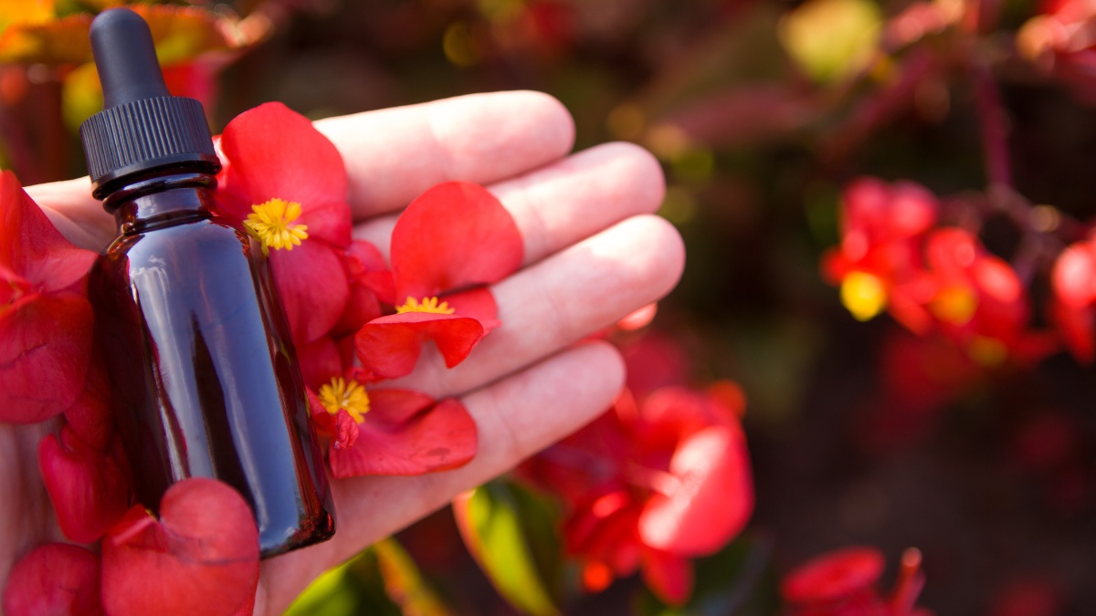 Como a terapia de florais pode auxiliar na saúde emocional