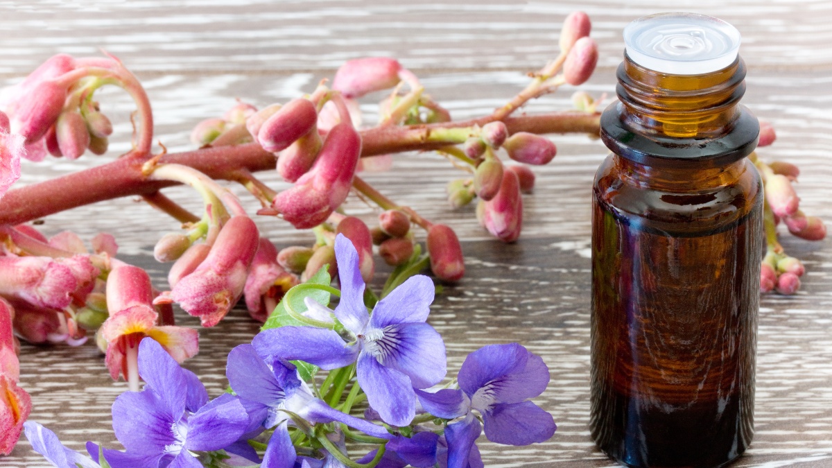 Rescue Remedy, para que serve Descubra como esse remédio pode te ajudar
