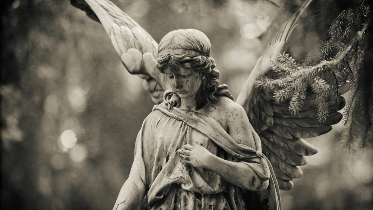 O que os sonhos com anjos nos ensinam sobre a conexão divina